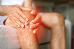 Is harpagophytum good for osteoarthritis?