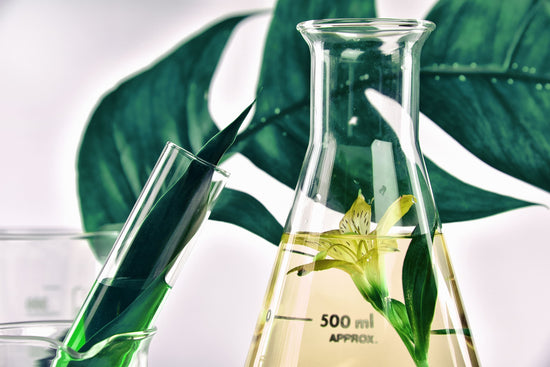 Gemmo, the science of buds in 8 questions