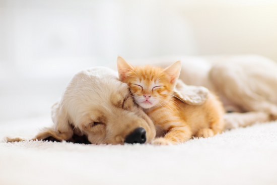 Sleep and nutrition