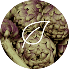 Artichoke dietary supplement