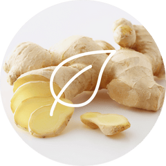 Ginger dietary supplement