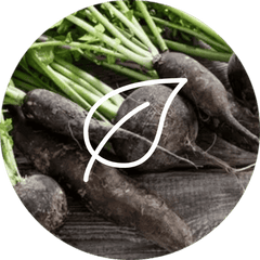 Black radish dietary supplement