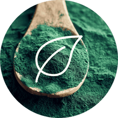 Spirulina dietary supplement