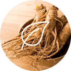 Ginseng dietary supplement