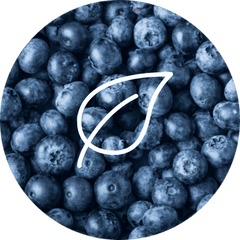 Blueberry dietary supplement