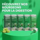 Macérat de Bourgeons - Digestion Bio