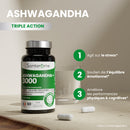 Ashwagandha + 3000 - 60 gélules