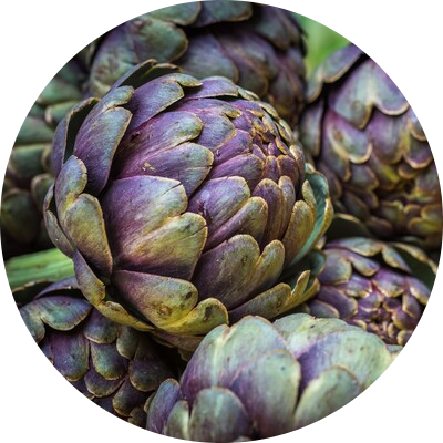 Artichoke
