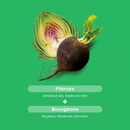 Organic Artichoke Organic Black Radish - 20 ampoules