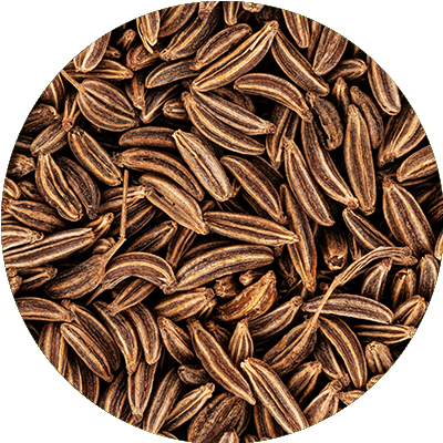 Caraway
