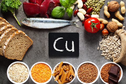 aliments riches en cuivre