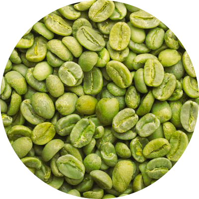 Green coffee
