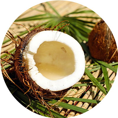 Coconut
