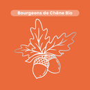 Macérat de Bourgeons - Chêne Bio