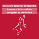 Macérat de Bourgeons - Énergie Bio