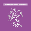 Macérat de Bourgeons - Airelle Bio