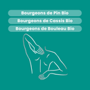 Bud Macerate - Organic Joint Comfort