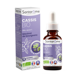 Bud Macerate - Organic Blackcurrant