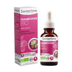 Bud Macerate - Organic Raspberry