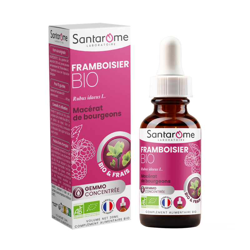 Bud Macerate - Organic Raspberry