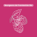 Bud Macerate - Organic Raspberry