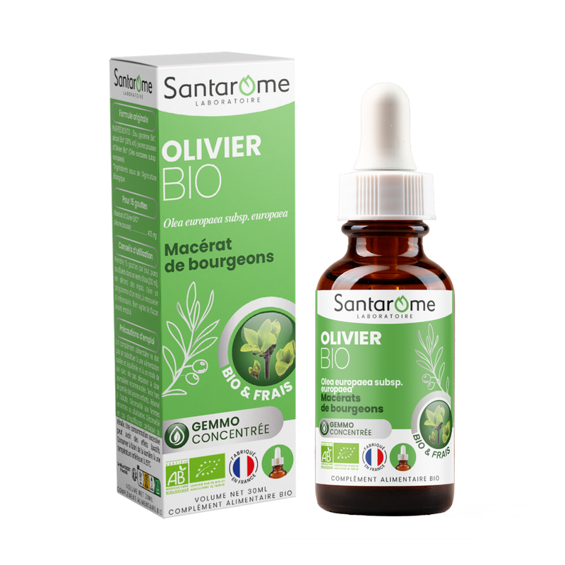 Bud Macerate - Organic Olive Tree