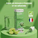 Macérat de Bourgeons - Olivier Bio