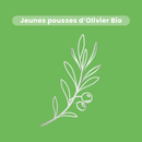 Macérat de Bourgeons - Olivier Bio