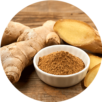 Ginger