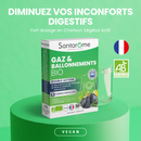 Pack Détox & Gaz et Ballonnements Bio