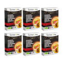 Ginseng Guarana Acerola Ginger Organic Manuka Honey - 20 ampoules