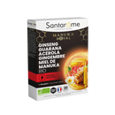 Ginseng Guarana Acerola Ginger Organic Manuka Honey - 20 ampoules