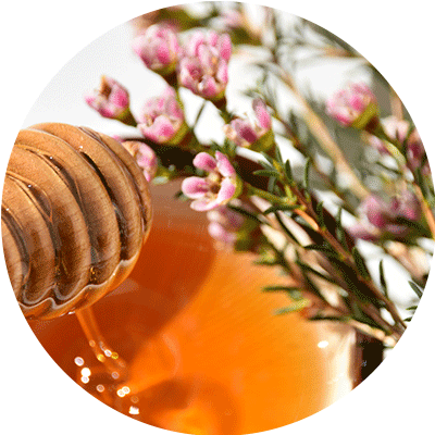 Manuka honey
