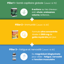 Programme Rentrée Ressourcée