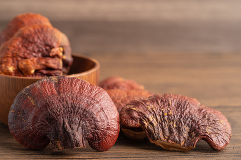REISHI
