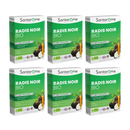 Organic Black Radish - 20 ampoules