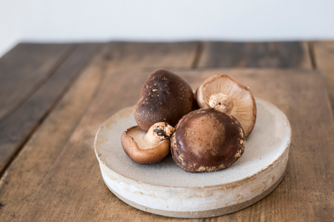shiitake mushroom