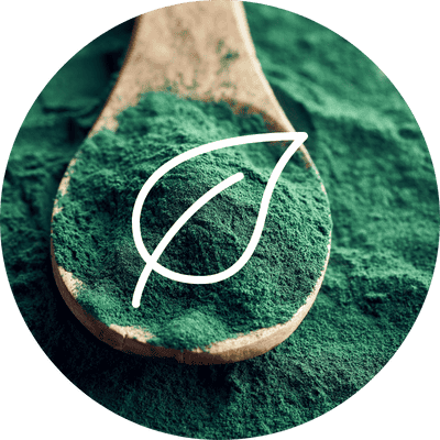 complément alimentaire spiruline