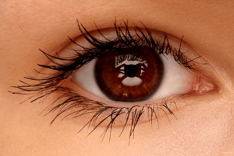 Oeil 