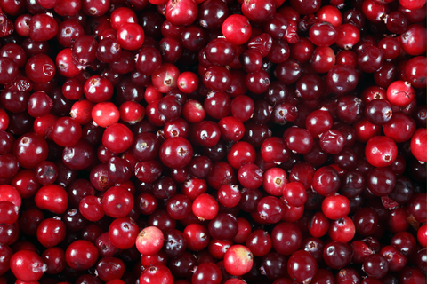 cranberry
