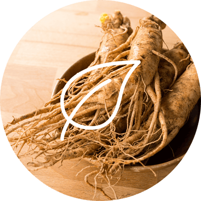 complément alimentaire ginseng